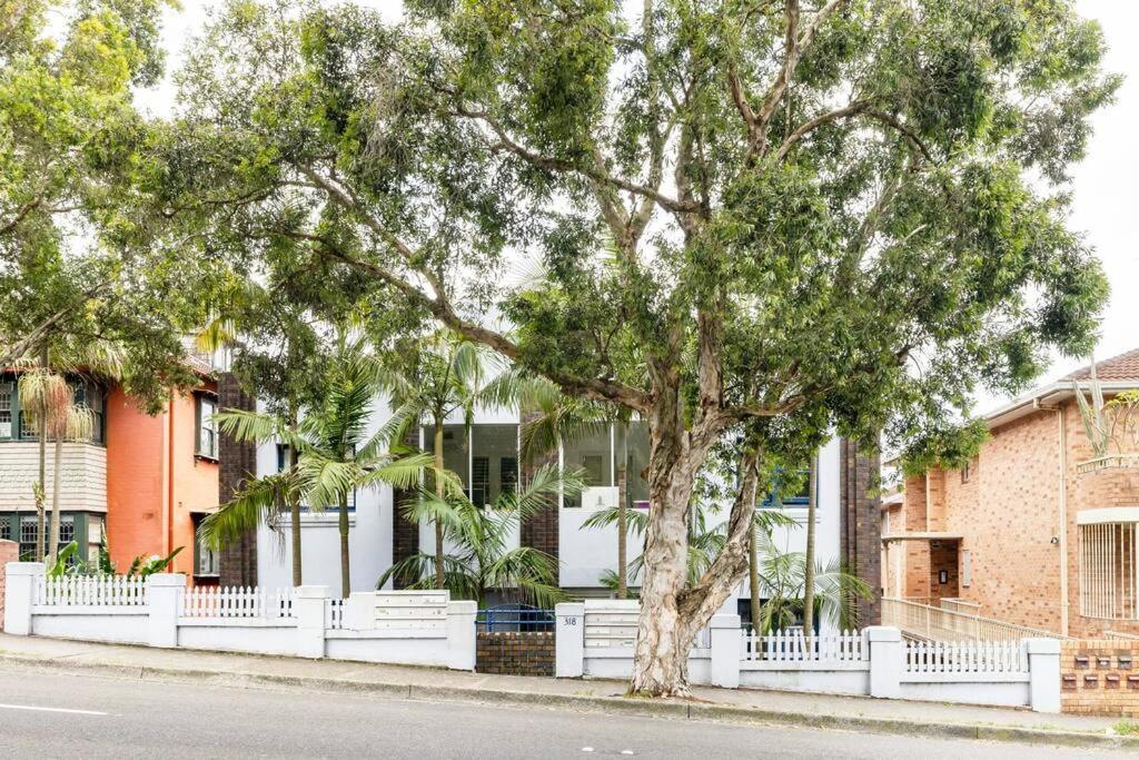 Bondi Book Nook - Cozy And Quiet Apartment